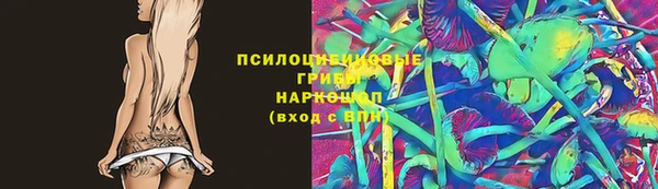 метадон Ельня