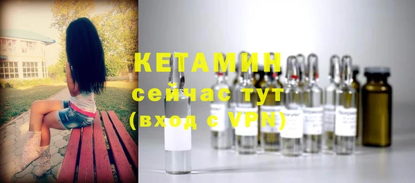 метадон Ельня