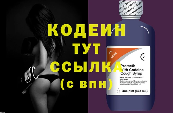 дурь Няндома