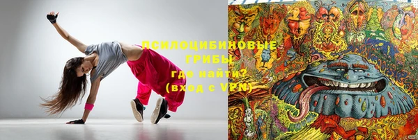 метадон Ельня