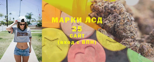 метадон Ельня