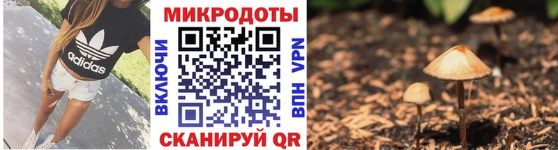 Псилоцибиновые грибы мицелий Полесск