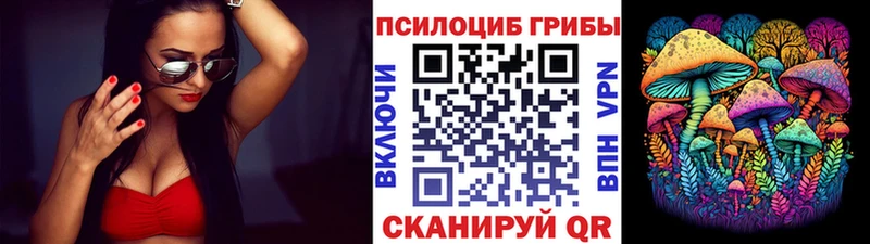 блэк спрут сайт  Полесск  Псилоцибиновые грибы GOLDEN TEACHER  наркота 